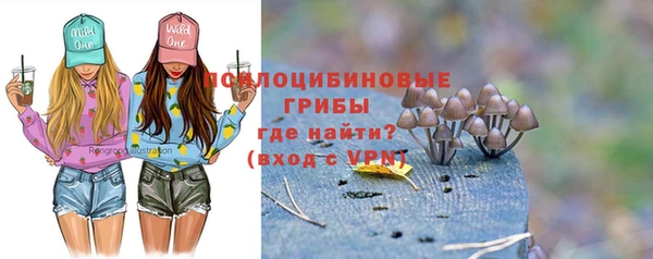 прущие грибы Тутаев