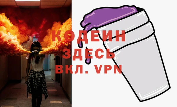 мдпв Бородино