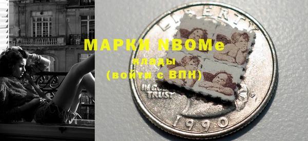 мдпв Бородино