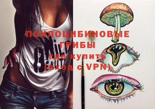 мдпв Бородино