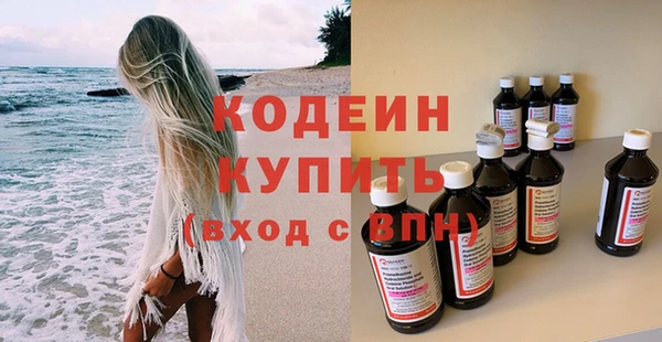 мдпв Бородино