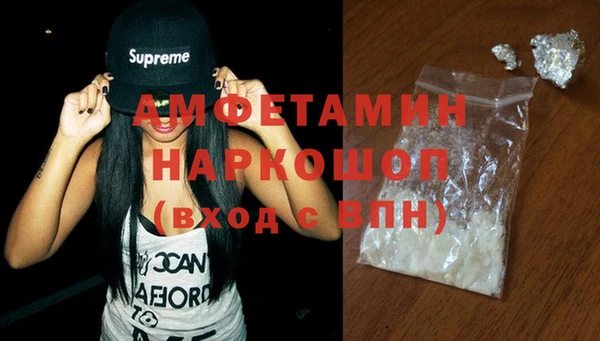 мдпв Бородино