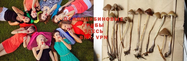 ГАЛЛЮЦИНОГЕННЫЕ ГРИБЫ Бронницы