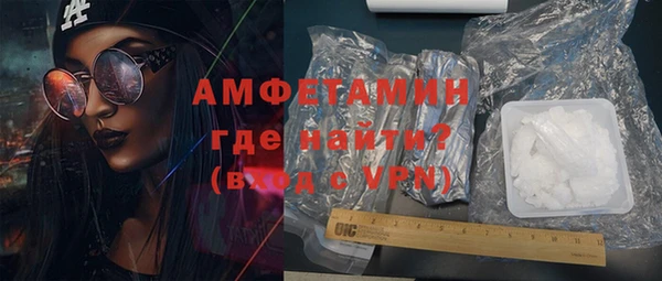мдпв Бородино