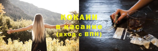 мдпв Бородино